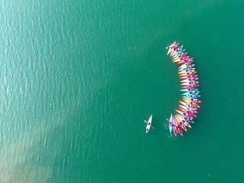 旋风视频在线观看 