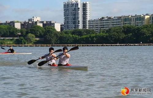 旋风视频在线观看 