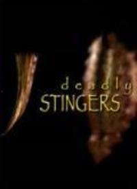  [][][] 燃烧的岁月汉化版 